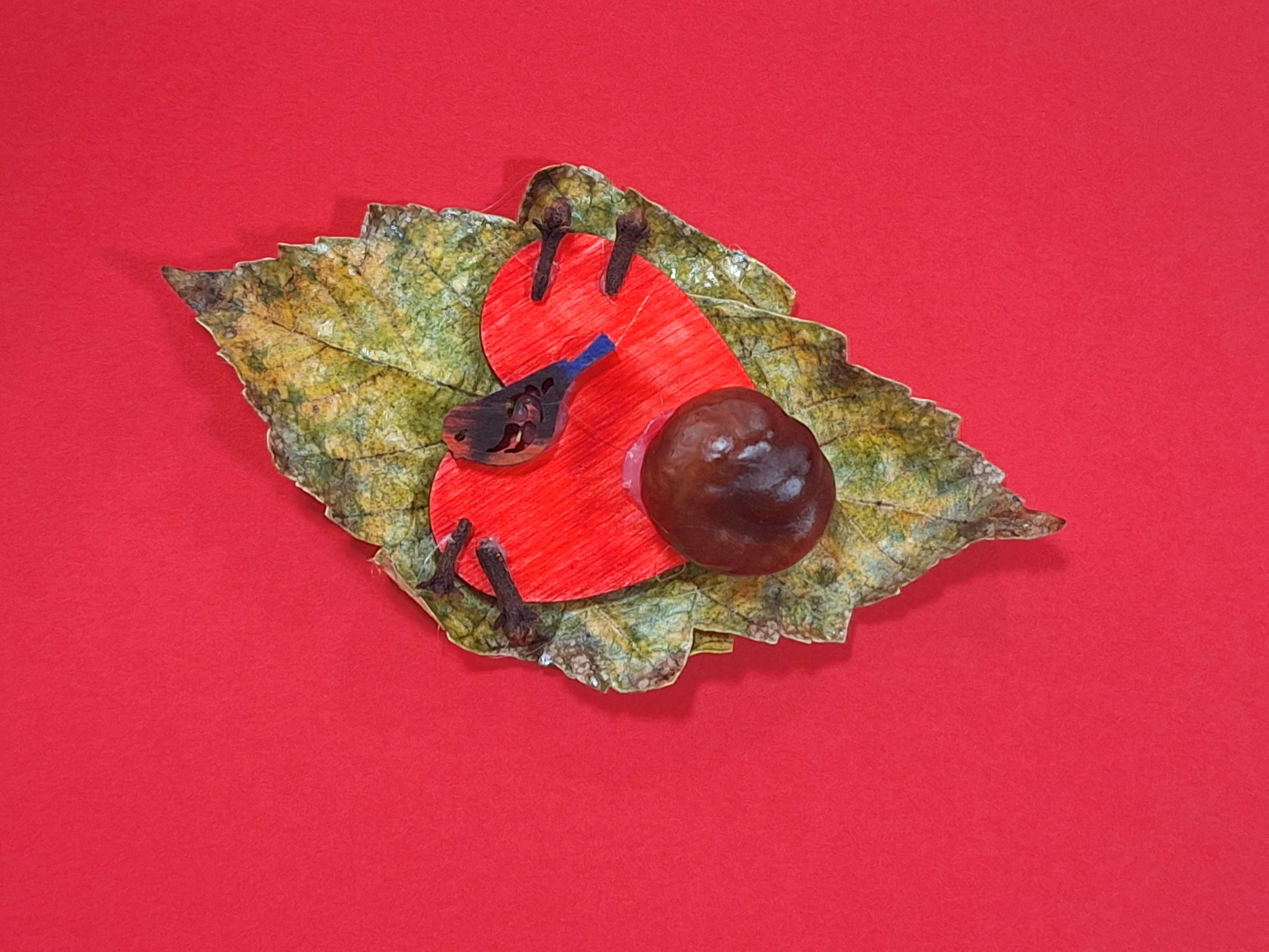 Wyniki konkursu plastycznego – „Biżuteria z darów jesieni”